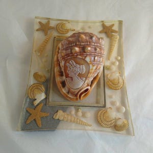 May include: A rectangular clear resin tray featuring a central large brown seashell with a carved white cameo profile of a person. The tray is decorated with various small seashells, starfish, and white spherical beads embedded in the resin.