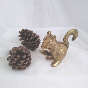 May include: A brass squirrel nutcracker with a curved tail and open mouth, next to two brown pine cones. The nutcracker is detailed with a textured finish and is set against a white background.