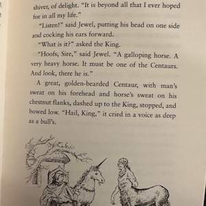 Crónicas de Narnia, 7 libros, C.S. Lewis. Edición encuadernada en piel. imagen 10