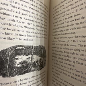 Crónicas de Narnia, 7 libros, C.S. Lewis. Edición encuadernada en piel. imagen 9