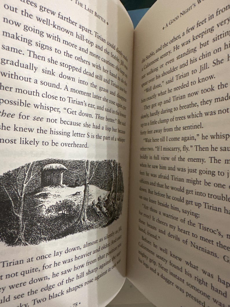 Crónicas de Narnia, 7 libros, C.S. Lewis. Edición encuadernada en piel. imagen 9