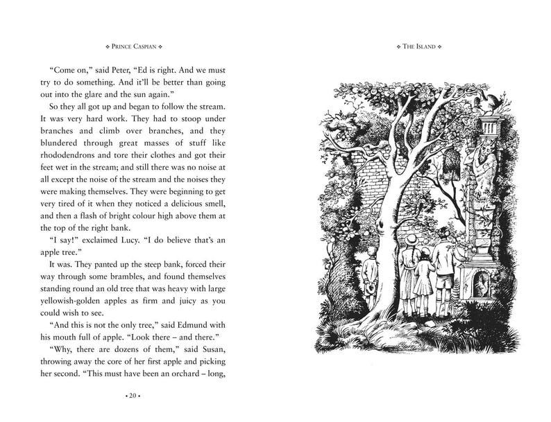 Crónicas de Narnia, 7 libros, C.S. Lewis. Edición encuadernada en piel. imagen 6