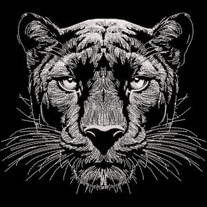 Könnte beinhalten: Detaillierte Schwarz-Weiß-Illustration eines Panthergesichts. Das Bild zeigt komplizierte Linienarbeiten, die die Augen, die Nase und die Schnurrhaare des Tieres hervorheben. Das Gesicht des Panthers ist vor einem schwarzen Hintergrund zentriert, was einen auffälligen Kontrast erzeugt.