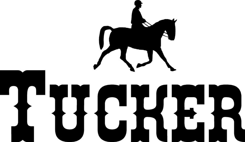 Horse Vinyl 24x14 Horse Vinyl Children/'s Name Children/'s Name Vinyl Decal Western Children/'s Name Custom Name /& Horse Vinyl Western
