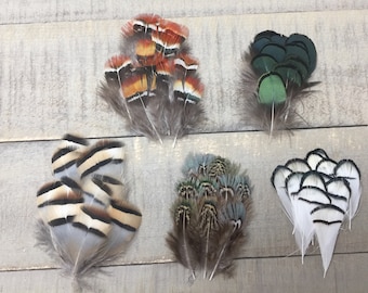 Set Of 60 Exotic Pheasant Feathers Colorful Feathers Feather Sampler Unique Feathers Small Feathers Body Feathers Craft Feathers Set Of 60 Exotic Pheasant Feathers Colorful Feathers Feather Sampler Unique Feathers Small Feathers Body Feathers Craft Feathers