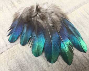 Rare Himalayan Monal Pheasant Feather Cruelty Free Iridescent Feathers Rare Feathers Smudge Feathers Lovely Feathers Unique Feathers Rare Himalayan Monal Pheasant Feather Cruelty Free Iridescent Feathers Rare Feathers Smudge Feathers Lovely Feathers Unique Feathers