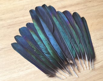natural feathers etsy