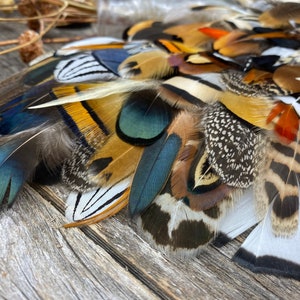 Natural Feathers Multipack – Earth Tone, Undyed Craft Supplies