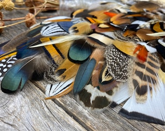 Natural Feathers Multipack – Earth Tone, Undyed Craft Supplies