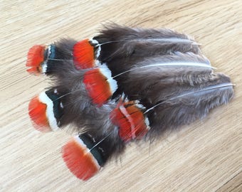 SET of 40 Fiery Pheasant feathers - accent feathers, lovely feathers, red tip feathers, unique feathers, unusual feathers, small feathers