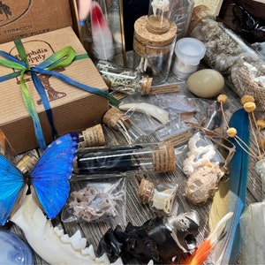 May include: A collection of preserved specimens in glass jars, including a butterfly, a feather, and a bone. The jars are arranged on a wooden surface with other natural items, such as a bird feather, a bone, and a dried flower.
