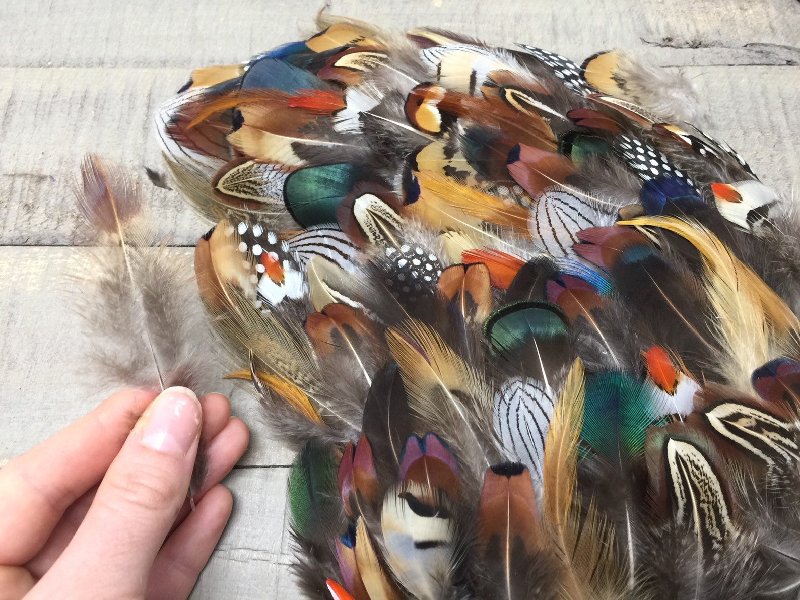 MULTIPACK Natural Feathers Eco Friendly Feathers Organic Etsy