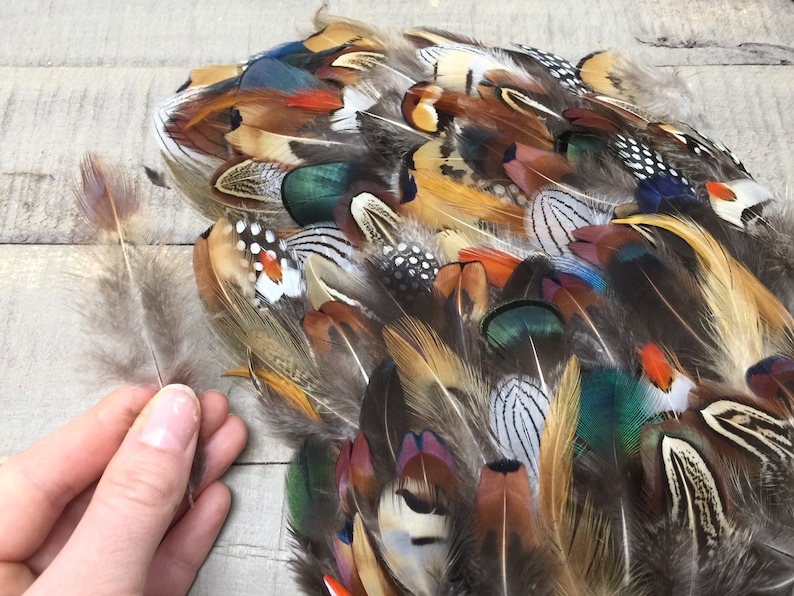 MULTIPACK natural feathers eco friendly feathers organic Etsy