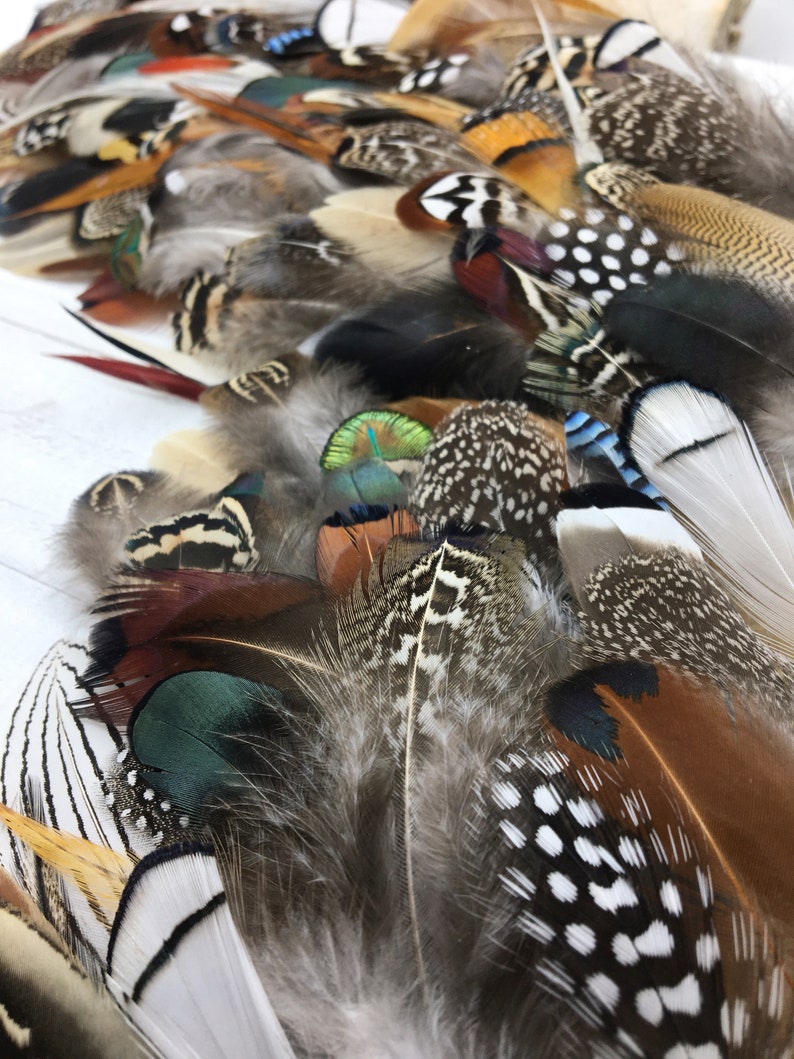 MULTIPACK natural feathers eco friendly feathers organic Etsy