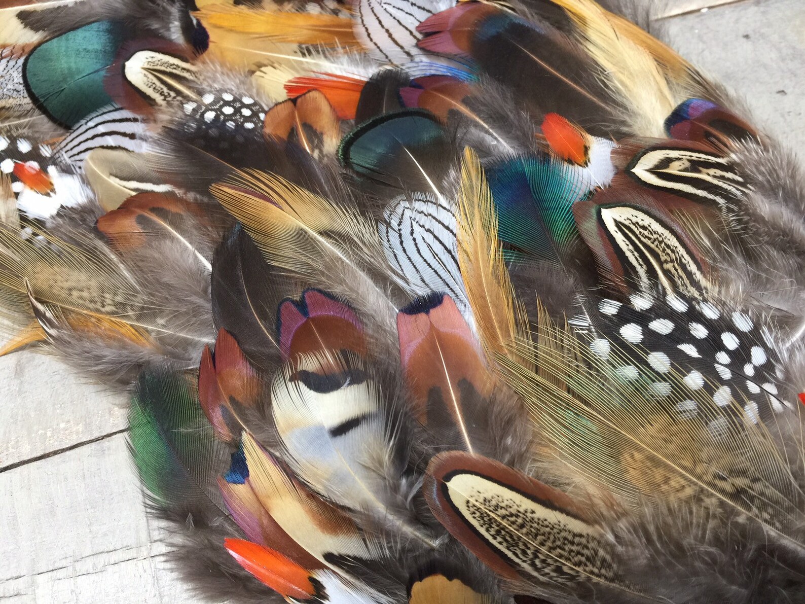 MULTIPACK natural feathers eco friendly feathers organic Etsy