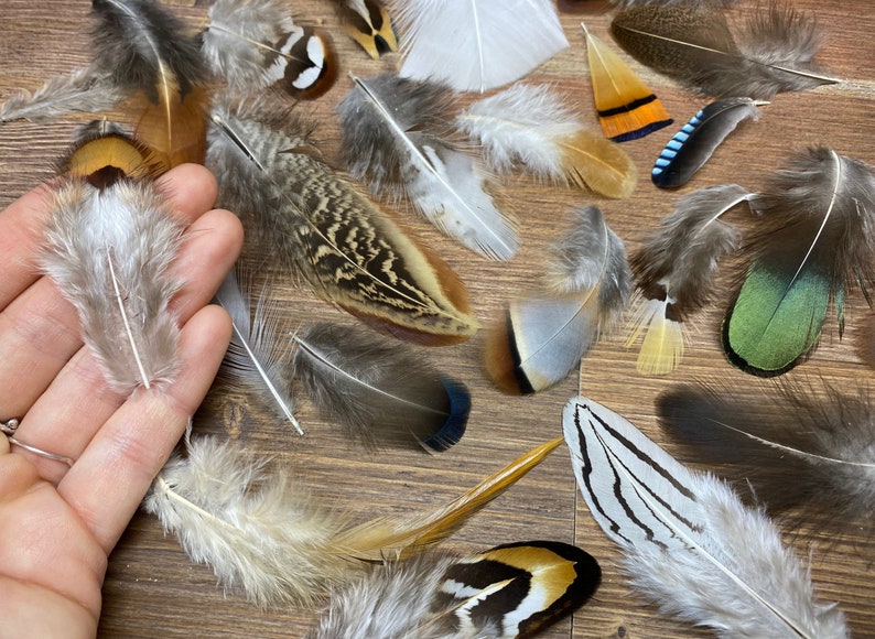 MULTIPACK natural feathers eco friendly feathers organic Etsy
