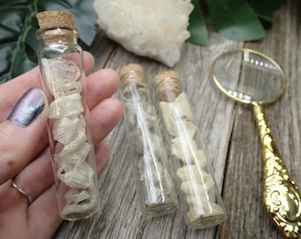 Nature Curiosity: Shed Snake Skin in a Vial - cruelty free, nature specimen, natural history, nature study, zoology, herpetology, oddities