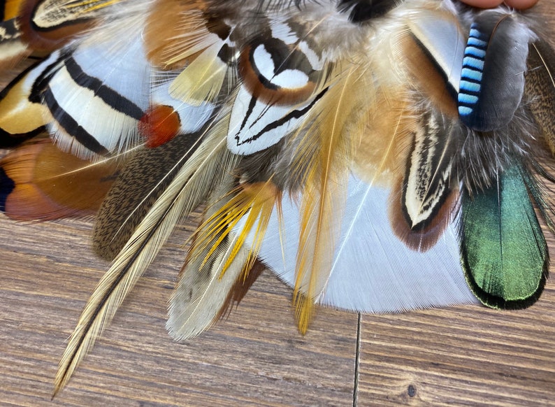 MULTIPACK natural feathers eco friendly feathers organic Etsy