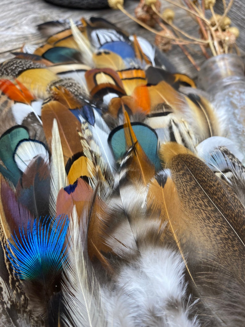 MULTIPACK Natural Feathers Eco Friendly Feathers Organic Etsy