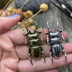 Brass Stag Beetle Ring – Adjustable Nature Statement Jewelry