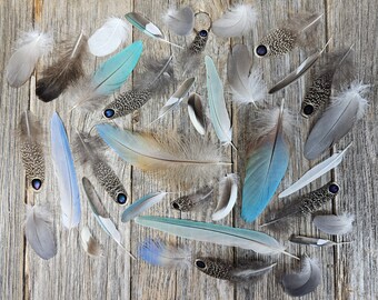 VENTA Conjunto de 35 plumas de color gris azulado - libres de crueldad, plumas naturales, plumas reales, plumas exóticas, plumas únicas, iridiscentes 27J1