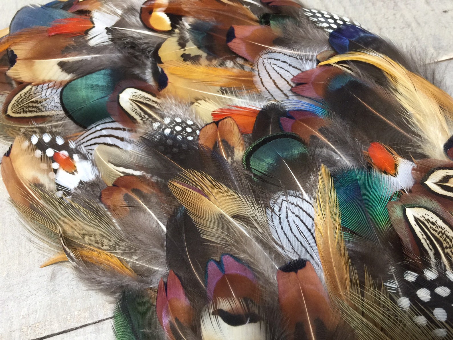 MULTIPACK Natural Feathers Eco Friendly Feathers Organic Etsy