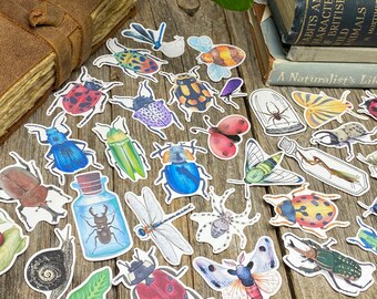 Op de afbeelding: Een verzameling kleurrijke insecten- en keverstickers, waaronder een libel, een kever, een vlinder, een spin en een slak. De stickers bevinden zich op een houten oppervlak.