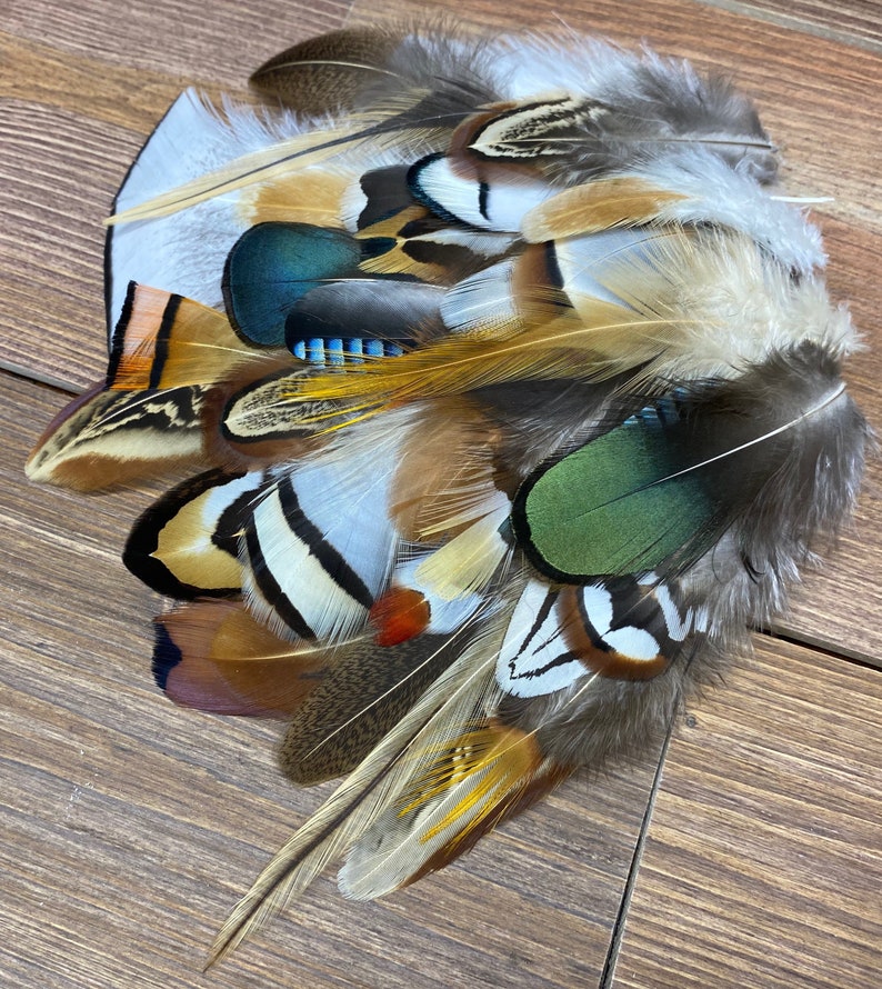 MULTIPACK natural feathers eco friendly feathers organic Etsy