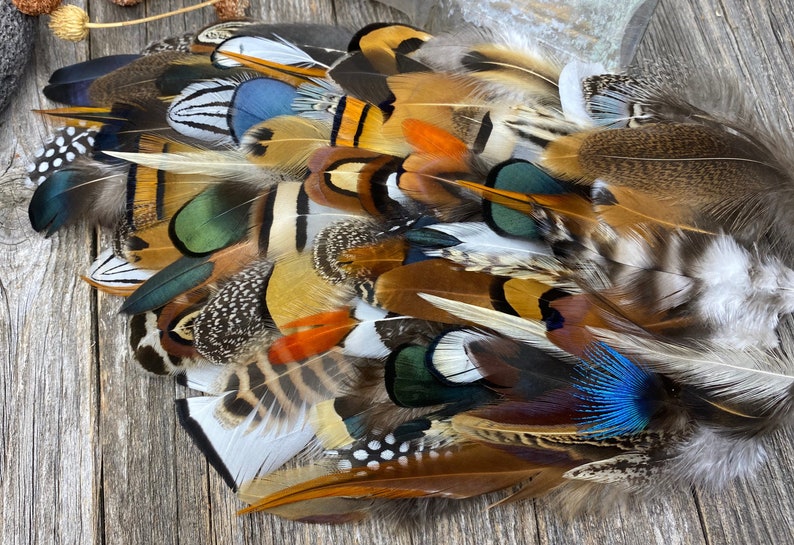 MULTIPACK Natural Feathers Eco Friendly Feathers Organic Etsy
