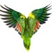 Avatar belonging to BiophiliaSupply