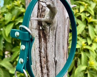 1/2" Biothane Dog Slip Collar: 1/2" Training Collar, Waterproof