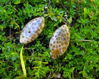 Stone Earrings