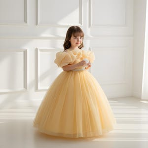 Fluffy Birthday Dress Women - Etsy