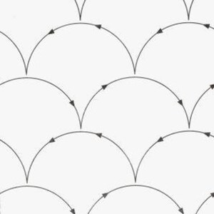May include: A black and white illustration of a clamshell pattern with arrows pointing in different directions. The text "CLAMSHELLS" is at the top of the image.