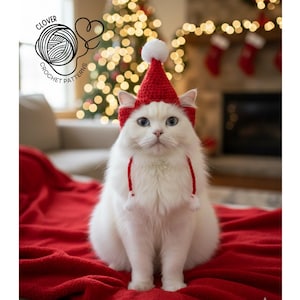 cat santa hat