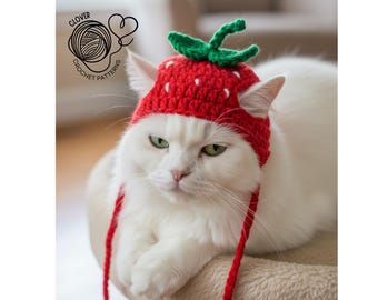 Cat Strawberry Hat Crochet Pattern, Easy Hat Crochet Pattern for Cats and Kittens, Beginner Friendly, cat hat crochet pattern, pet crochet
