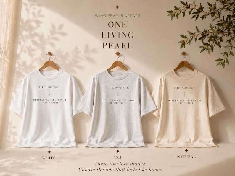 Kristen inspirerande skjorta, herrtröja med tro, upplyftande unisex-tröja, The Source Graphic Tee bild 4