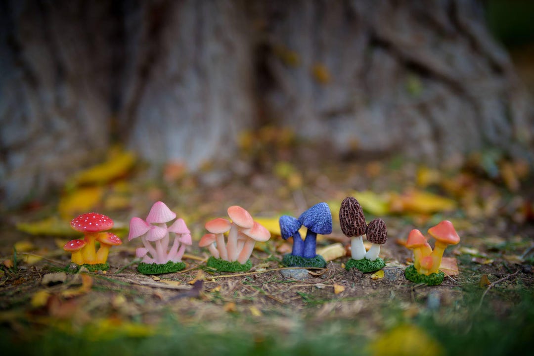 Fairy Door Mushroom – Miniature Garden Accent - Etsy