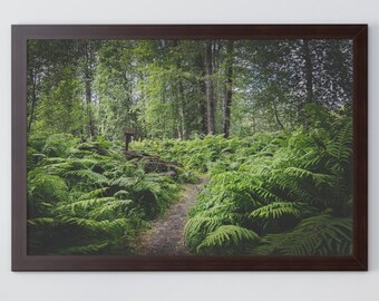 Alaska Forest Framed Poster, Woodland Landscape Wall Art