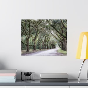 Charleston SC Plantation Drive poster, Charleston travel art, Charleston SC wall decor, Plantation drive print, Matte horizontal poster