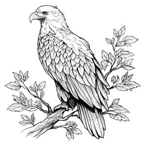 May include: Detailed black and white illustration of an eagle perched on a tree branch. The eagle is depicted in profile, showcasing its sharp beak and detailed feather patterns. The image includes leafy branches, creating a naturalistic scene.