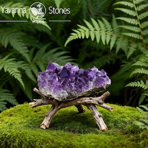 Könnte beinhalten: Ein großer, leuchtend violetter Amethyst-Kristallcluster, präsentiert auf einem rustikalen Holzständer. Der Ständer besteht aus kleinen Ästen, vor dem Hintergrund grüner Farne und Moos. Der Text "Yavanna Stones NATURAL" befindet sich oben.