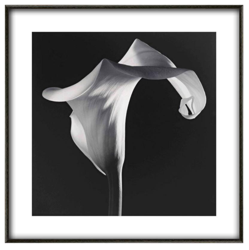 Robert longo - Etsy 日本