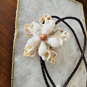 May include: A handcrafted bolo tie featuring a flower design made of various seashells. The center of the flower is a small, orange and white shell. The tie has a dark brown, braided leather cord.