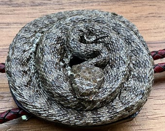 Authentic Coiled Western Diamondback Rattlesnake Bolo Tie: Handcrafted Braided Leather Cord,