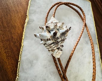 Spiny Snail Sea Shell Bolo Tie: Handcrafted Leather Cord, Antique Gold Tips