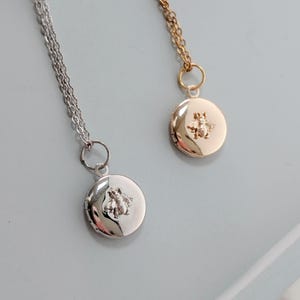 May include: Two round locket necklaces, one silver and one gold, each with a bee design. The lockets hang from delicate chains. The silver locket is on the left, and the gold locket is on the right.