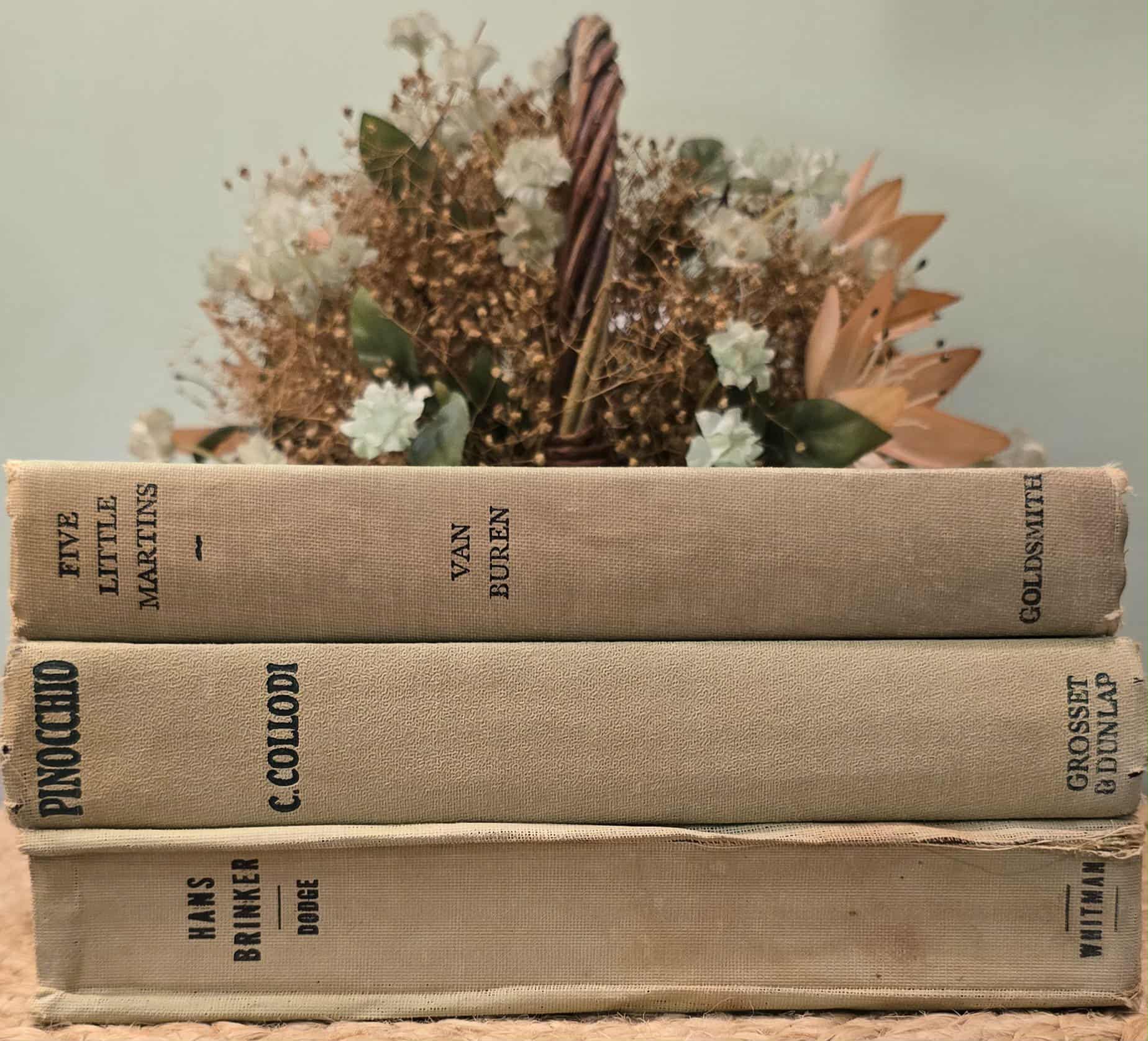 Vintage Clothbound Book Set: Pinocchio, Hans Brinker, Five Little Martins