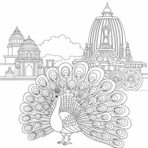 Indian Coloring Book 2