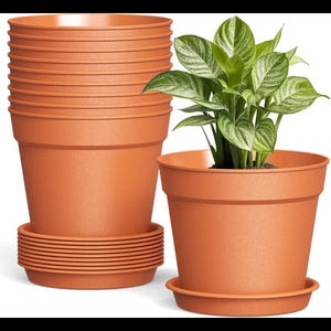 10 Pack 6 Inch Plant Pots with Drainage & Saucers, Terracotta